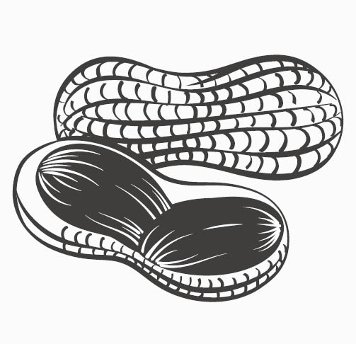 PUZO - Allergies Icon - Peanuts