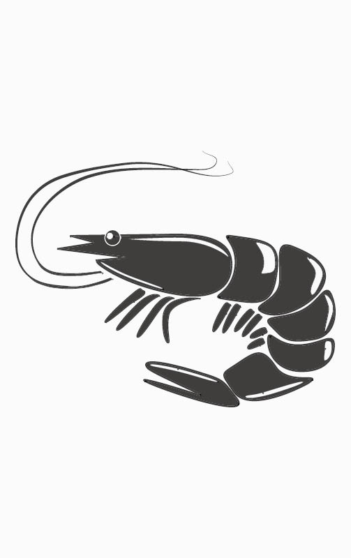 PUZO - Allergies Icon - Shellfish