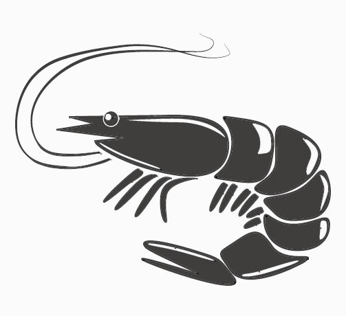 PUZO - Allergies Icon - Shellfish